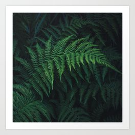Nature Greenery Forest Art Print | Quote, Greenery, Dark, Pink, Flowers, Colorful, Popular, Outside, Photo, Green 