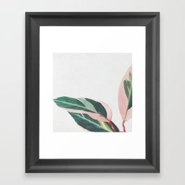 Pink Leaves II Framed Art Print