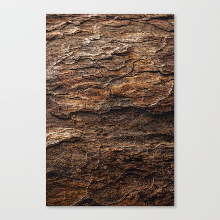 Wooden Canvas Print