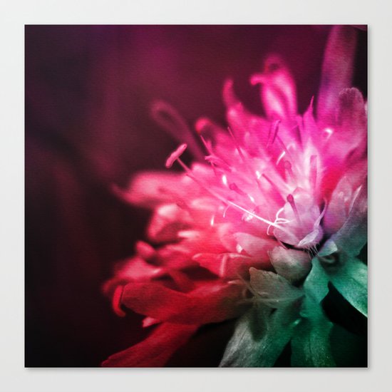 Dream Flower 10 Canvas Print