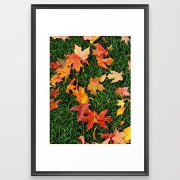 Fallen Autumn Framed Art Print