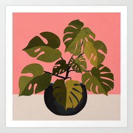 Monstera Plant In A Pot 3 Art Print