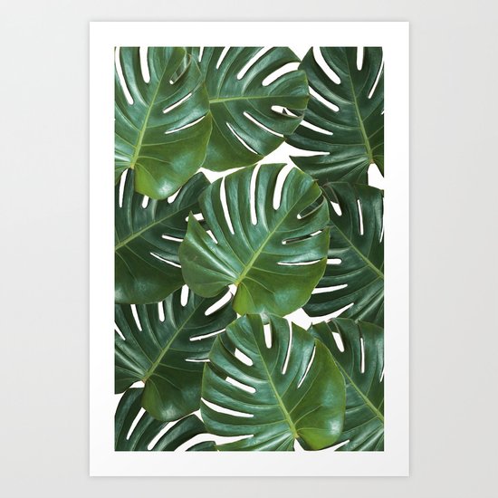 Monstera #2 Art Print