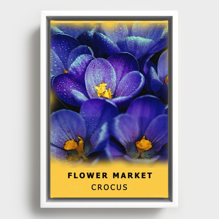 Purple Crocus Flower Market  Framed Canvas