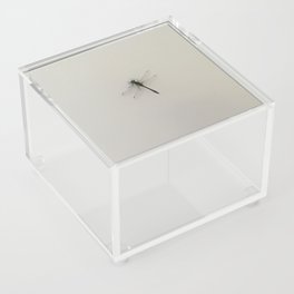 Muskoka Dragonfly Acrylic Box