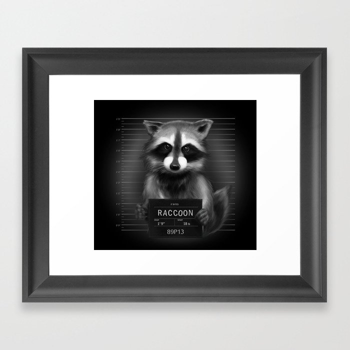 Raccoon Mugshot Framed Art Print