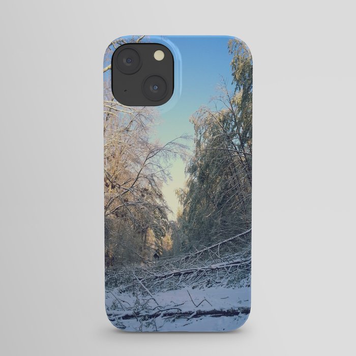 Fallen trees iPhone Case