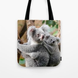 Koala mom and child Tote Bag
