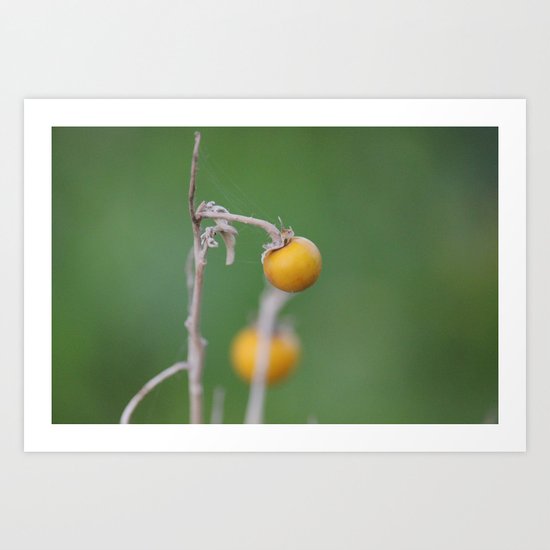 Gentle Touch Art Print