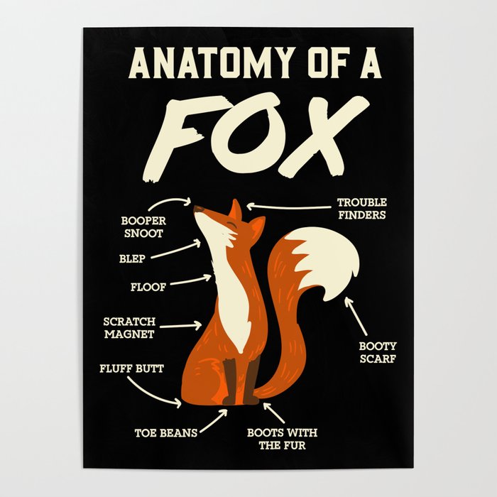 Furry Fandom T-Shirt: Anatomy Of A Fox I Dragon I Monster Poster