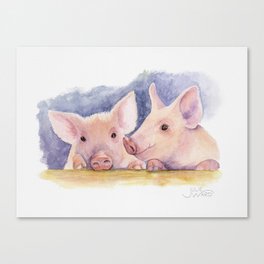 Pink Piggies Pigs Watercolor  Canvas Print
