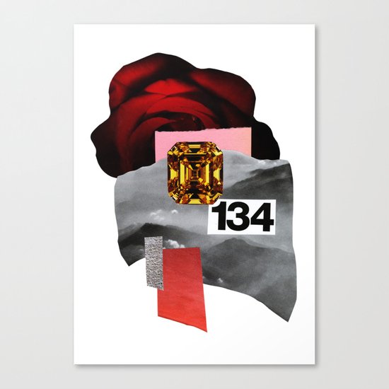 skyrose Canvas Print