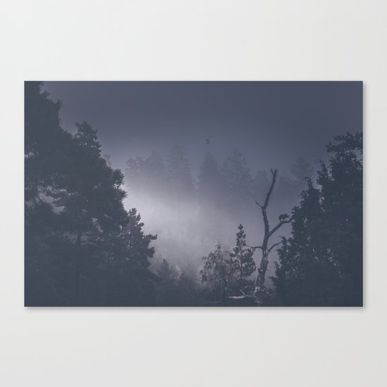 She stole something from me Canvas Print