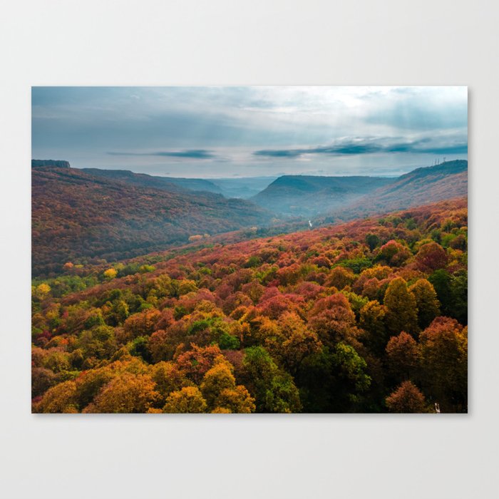 Autumn forest Canvas Print