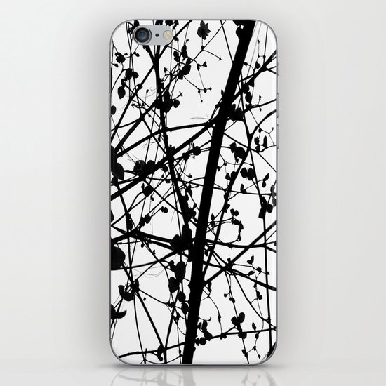 Jackson iPhone & iPod Skin