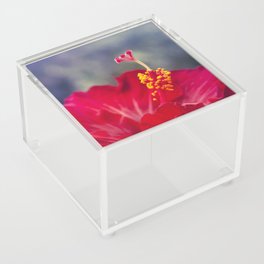 The Star of Dawn Acrylic Box