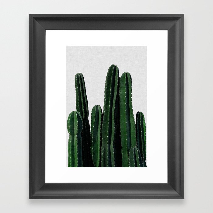 Cactus I Framed Art Print