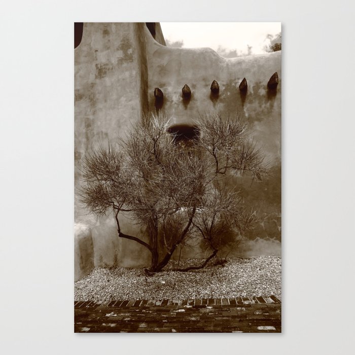 Santa Fe - Adobe Building and Tree 2010 Sepia Canvas Print