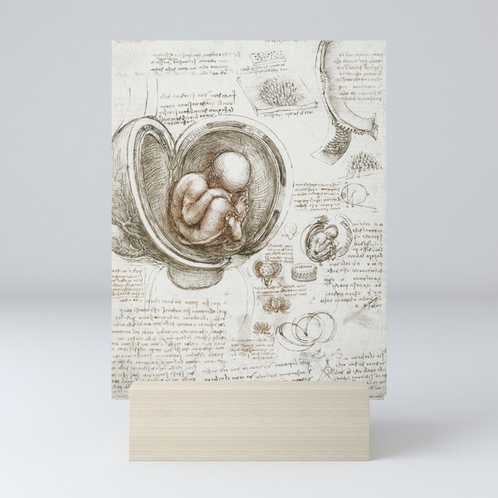 Studies of the Foetus in the Womb Mini Art Print