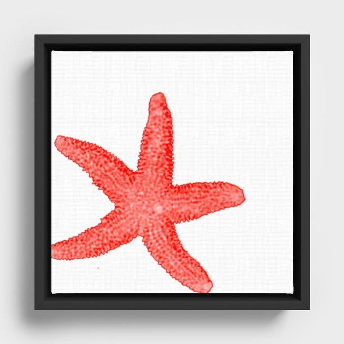 Coral Starfish 1 Framed Canvas