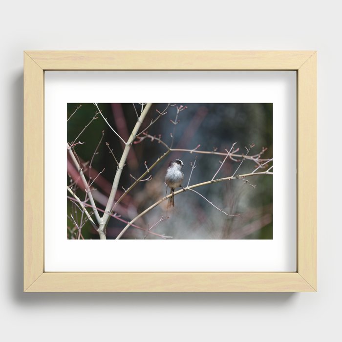 little friend on the branch Recessed Framed Print