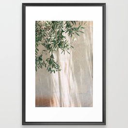 Mediterranean olive tree during morning light | Morocco travel photography | Fine art print Framed Art Print