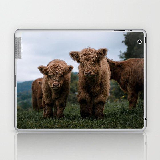 Scottish Highland Cattle Calves - Babies playing II Laptop & iPad Skin