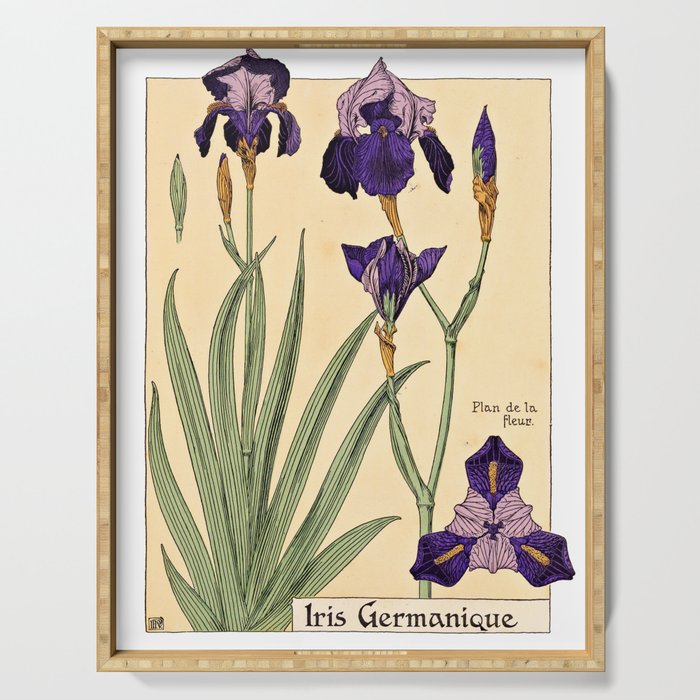 Maurice Verneuil - Iris germanique - botanical poster Serving Tray by ...