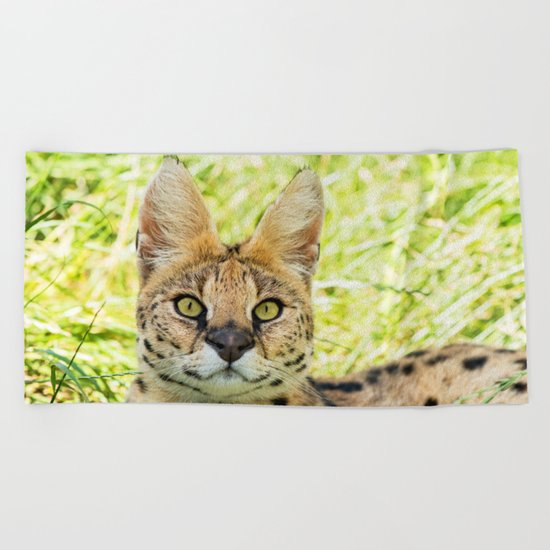 SERVAL BEAUTY Beach Towel