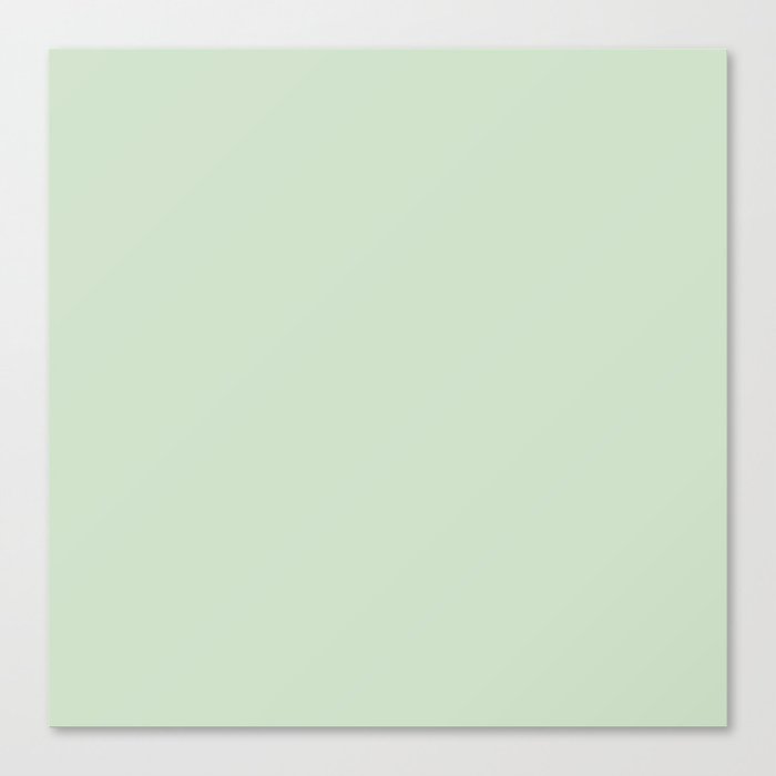 Endive Green Canvas Print