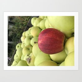 Apples Art Print | Apple, Redapple, Greenapple, Aesthetic, Red, Farm, Color, Colors, Green, Photo 