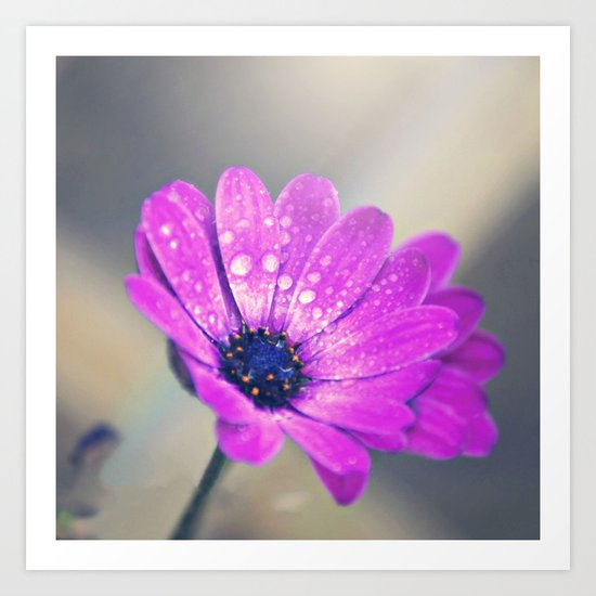 Sunshine flower purple Art Print