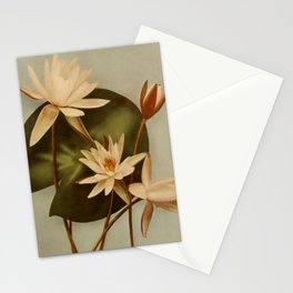 Vintage Water Lily Stationery Card
