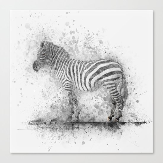 Zebra Canvas Print
