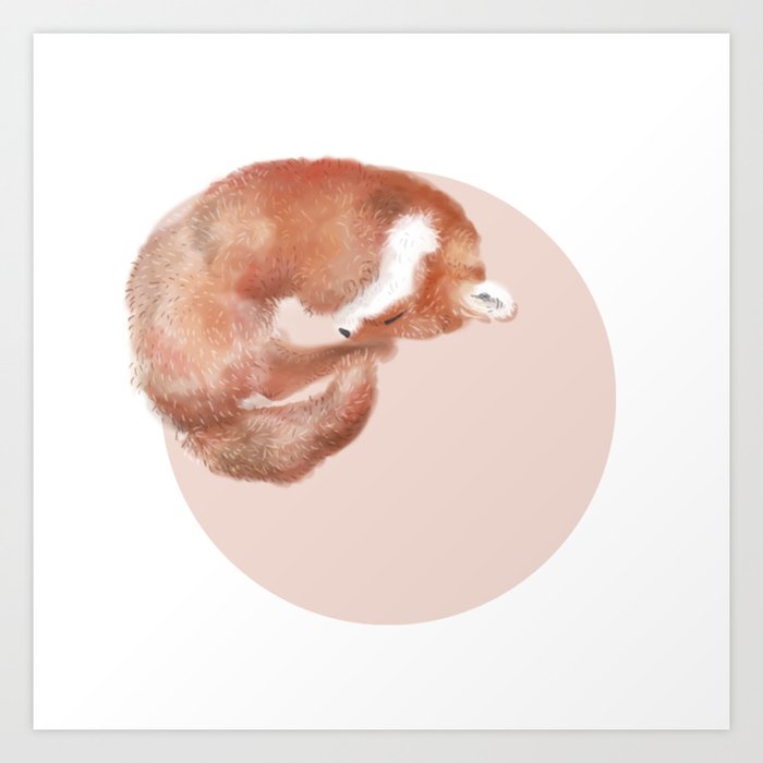 Pink Moon Sleeping Fox Art Print