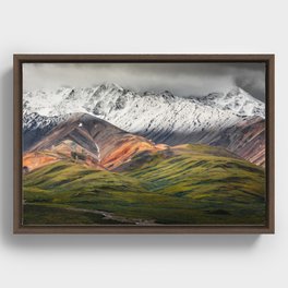Polychrome mountain, Denali NP, Alaska Framed Canvas