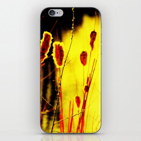 Sunset Light iPhone & iPod Skin