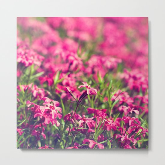 Through the Pink Metal Print