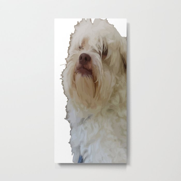 Grumpy Terrier Dog Face Metal Print