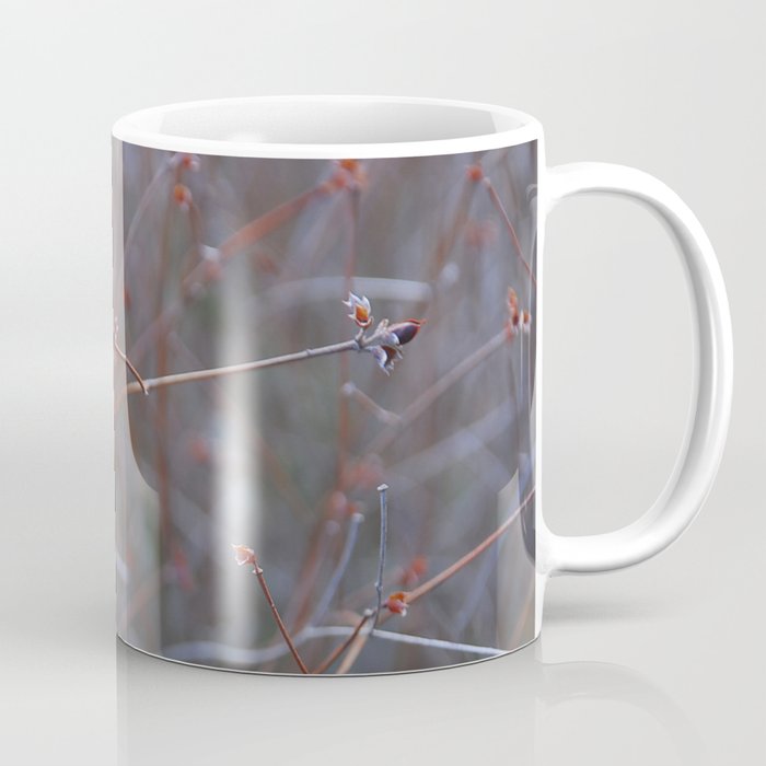 Autumn flowers Coffee Mug