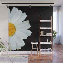 Hello Daisy - White Flower Black Background #decor #society6 #buyart Wall Mural