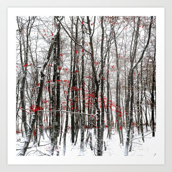 winter forest Art Print