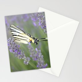 Swallowtail Sideview Amongst Lavender Spikes Photograph Stationery Card