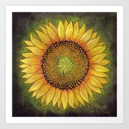 sunflower 2 Art Print