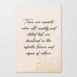Quotes There are moments when all anxiety Canvas Print