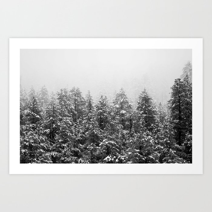 Black and White Snowy Pine trees Art Print