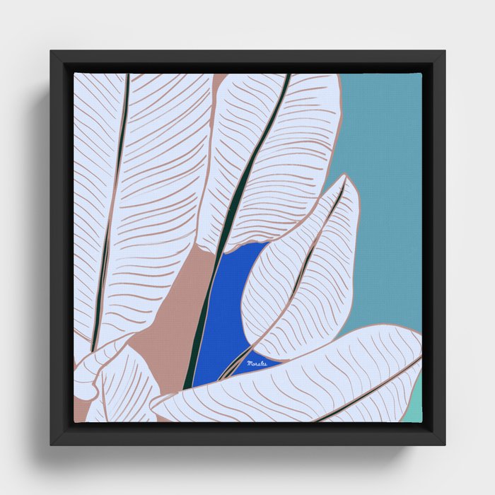 Framed Canvas