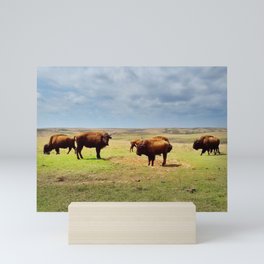 Prairie Bison Mini Art Print