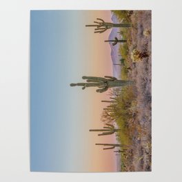 Desert / Scottsdale, Arizona Poster