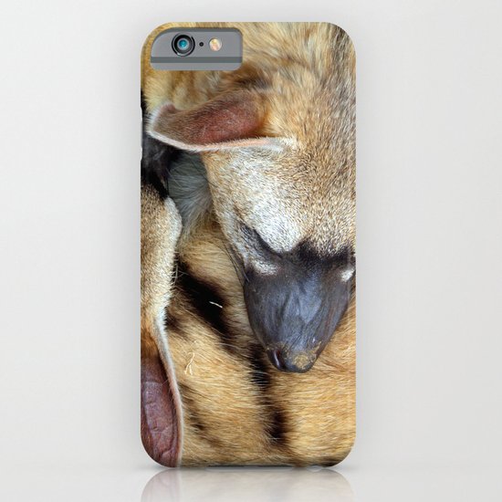 Three Sleeping Aardwolves iPhone & iPod Case